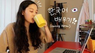 LEARN KOREAN How to study Korean  not really studying with nina