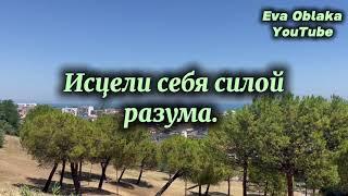 Исцели себя силой разума. Джон Кехо.