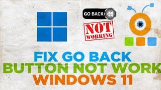 How to Fix Windows 11 Go back Button Not Working