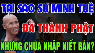 TIẾT LỘ BÍ MẬT ĐỘNG TRỜI tại sao sư minh tuệ đã THÀNH PHẬT NHƯNG chưa nhập niết bàn? - Trí Tuệ NS