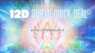 Daily Energy Protection Quick Seal 12D Maharic shield  #12Dshield