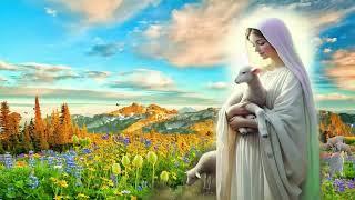 La Canción Católica Mas Hermosa Del Mundo 2024Las Mejores Cantos A La Virgen Maria 