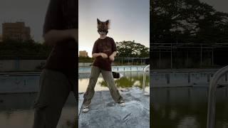 FOX AT AN ABANDONED POOL DANCING⁉️ #therian #fox #alterhuman #quadrobics #dance #abandoned