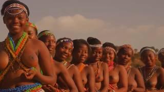 Zulu Tribe Virginity Testing South Africa