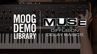 Muse  Diffusion Delay