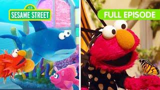 Elmos Animal Friends  FOUR Sesame Street Full Episodes