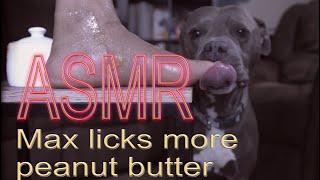 Max Licks More Peanut Butter  ASMR DOG LICKING  NO TALKING