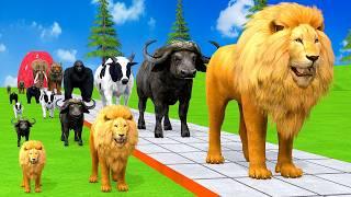 Paint & Animals DuckGorillaLionElephantCowSheep Fountain Crossing Transformation Animal Cartoon