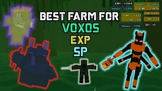 The Best way to Farm Voxos Exp SP and Loot Endgame  Voxlblade