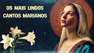 Os Mais Lindos Cantos Marianos  Músicas Católica