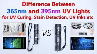 Difference Between 365nm and 395nm UV Lights for UV Curing Stain Detection UV inks etc