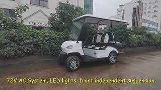 High Performance Quality golf cart cargo Two seaters with safety belts.