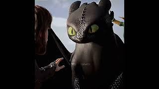 Remember me? #httyd #toothless #hiccuphaddock #httyd3 @biansage