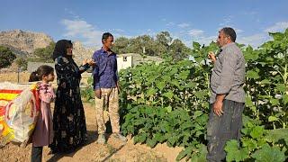 Agha Akbar and Ustad Abu Talib finished the nomadic widows garden.