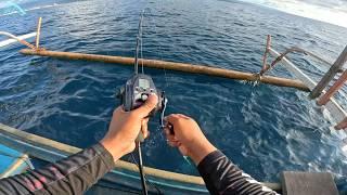 TES DAIWA ELEKTRIK LEOBRITZ 300J  LANGSUNG DAPAT TARGET️️