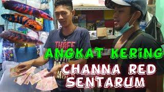 CHANNA RED SENTARUMANGKAT KERING CARI DI SOLO SURAKARTA