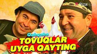 Qahqaha - Tovuqlar uyga qayting hajviy korsatuv