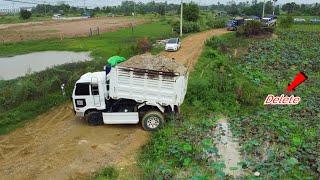 Complete Project 9day  Landfill Huge Size Using Bulldozer D58E KOMATSU & 5Ton dump truck