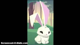 Animal Jam Creepypasta- The Lonely Rabbit