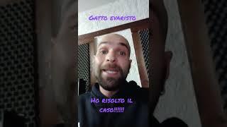 APPELLO Gatto Evaristo - DITE A YOTOBI DI APRIRE QUELLE MAIL HO RISOLTO IL CASO @yotobi