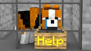 Monster School  POOR DOG - Sad Story - Minecraft Animation