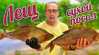 СУХОЙ ПОСОЛ РЫБЫ.Приготовление ВКУСНОЙ ВЯЛЕНОЙ РЫБЫ. Как засолить крупного Леща.