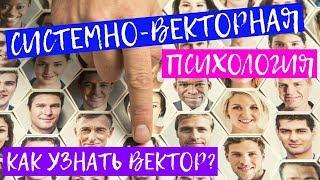 Все векторы в СВП системно-векторной психологии. Что это и как определить свой вектор