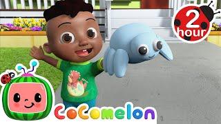 Anansi Song  CoComelon - Its Cody Time  CoComelon Songs for Kids & Nursery Rhymes