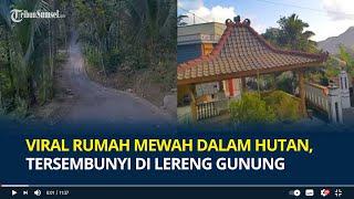 Viral Deretan Rumah Mewah dalam Hutan Banyumas Tersembunyi di Lereng Gunung Begini Penampakannya