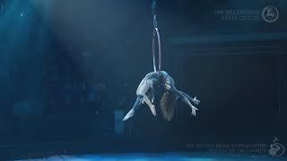 Dorato Circus  Alisa Shehter  Aerial hoop  Minsk circus festival 2019