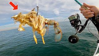 Fishing a BLUE CRAB on OFFSHORE REEFS... *SURPRISING Results*