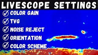 LiveScope Settings UPDATED  Get a CLEAR Picture Garmin LiveScope Plus LVS34