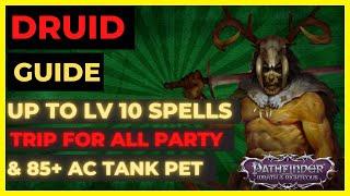 PF WOTR ENHANCED - DRUID Guide LV10 SPELLS PARTY WIDE TRIP & Tank PET