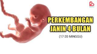 Perkembangan Janin yang Ideal Usia 4 Bulan Janin Mulai Bergerak?