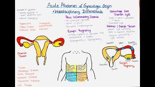 Acute Abdomen of Gynecological and Non-Gynecological Origin