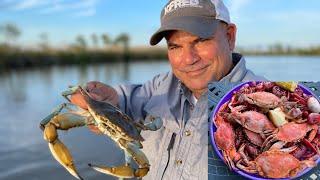 Louisiana Blue Crab Catch & Cook Boiled Crabs & Crawfish