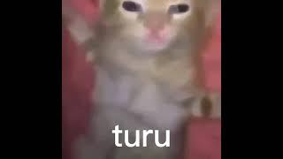 turu