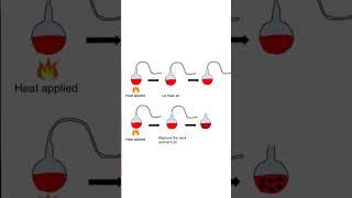 Louis Pasteurs Experiment  Class 12 Evolution #neet #study #shorts