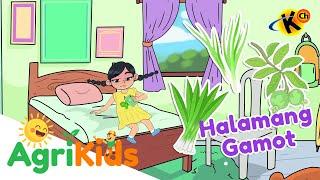 Halamang Gamot  AgriKids