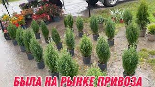 Была на рынке привоза