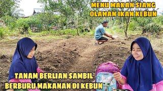 MENANAM BERLIAN.. MENU MAKAN SIANG HASIL BERBURU DI KEBUN