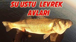 Su Ustu Levrek Avlari Derleme  Top Water Seabass