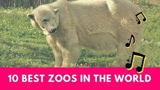 10 Best Zoos In The World