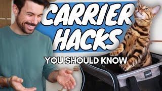 3 HACKS to Get Any Cat Into a Carrier that PROS Use