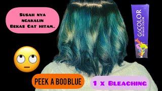 PEEK A BOO HAIR TUTORIAL • Tips Cat Rambut Untuk Pemula GoColour  Indonesia