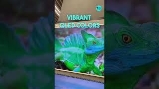 The New 85 The Frame Lso3D TV By Samsung  Curly Tales ME #shorts