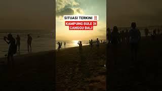 SITUASI KAMPUNG BULE DI CANGGU BALI BARAT #SHORTS #SHORT #SHORTVIDEO #BALI #BULE #CANGGU #FYP #viral