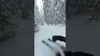 gad 2 storm day laps at snowbird