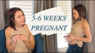 5 and 6 Weeks PREGNANCY UPDATE  Symptoms Cravings Cramping WORRY Belly Shot Babys Growth