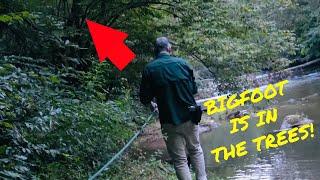 Bigfoot Corners A Research Team Scaling NC River Bank